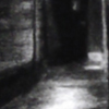 Alley cat, 50x70cm, charcoal&pastel on paper, 2012