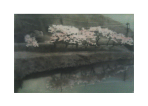 Sakura, cut out drawing, 2011, 30x40cm